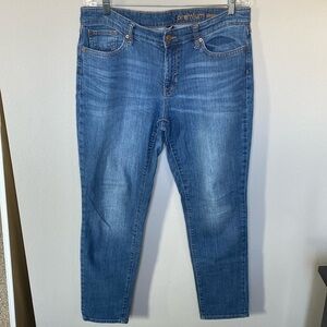 Gap Premium Skinny Jeans